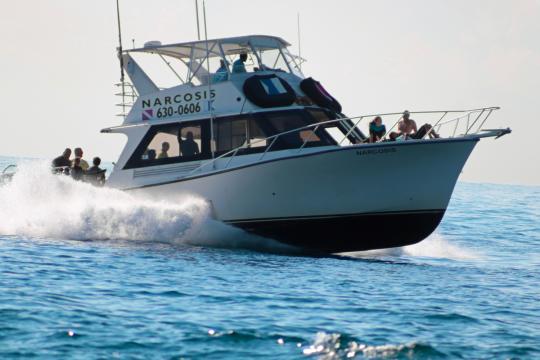 We have daily 2-tank SCUBA charter trips in West Palm Beach on the fast and spacious dive boat Narcosis